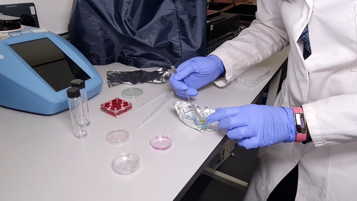 <p> Scientists develop flavoured lollipops to help diagnose mouth cancer.</p>