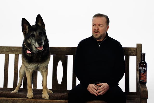 <p>Ricky Gervais reunites with beloved dog from After Life.</p>