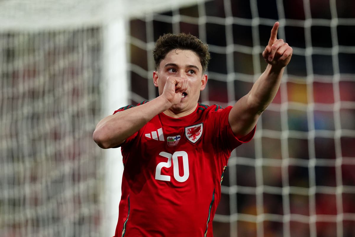 Daniel James delighted to celebrate birth of baby with goal in 50th Wales cap