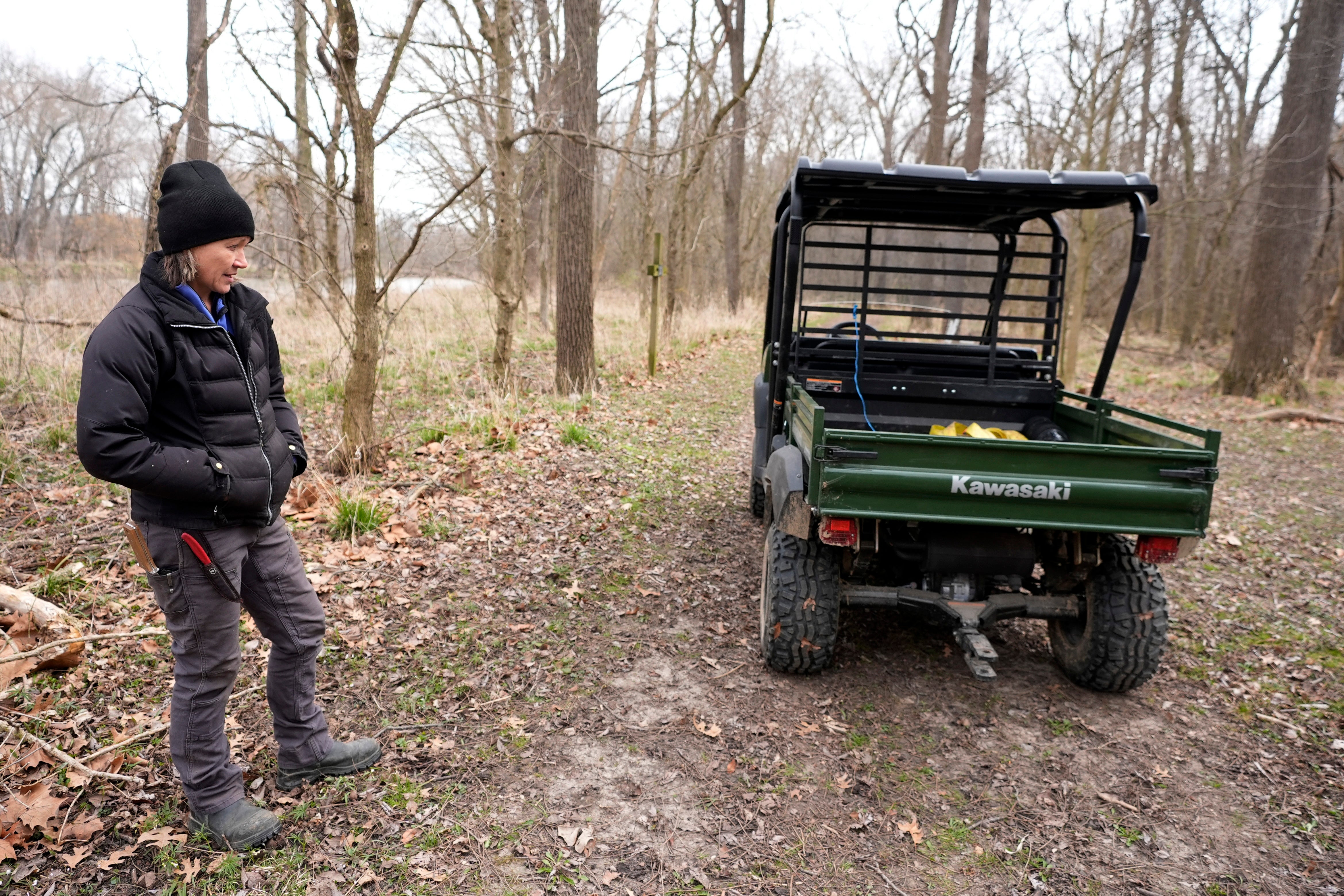 Organic Field Impacts
