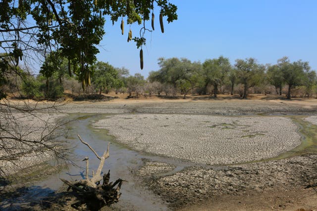 Malawi Drought Disaster