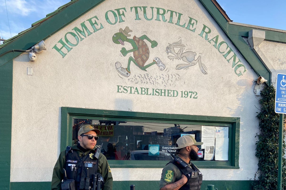 Famous Los Angeles turtle-racing bar hit by animal rights protests ...