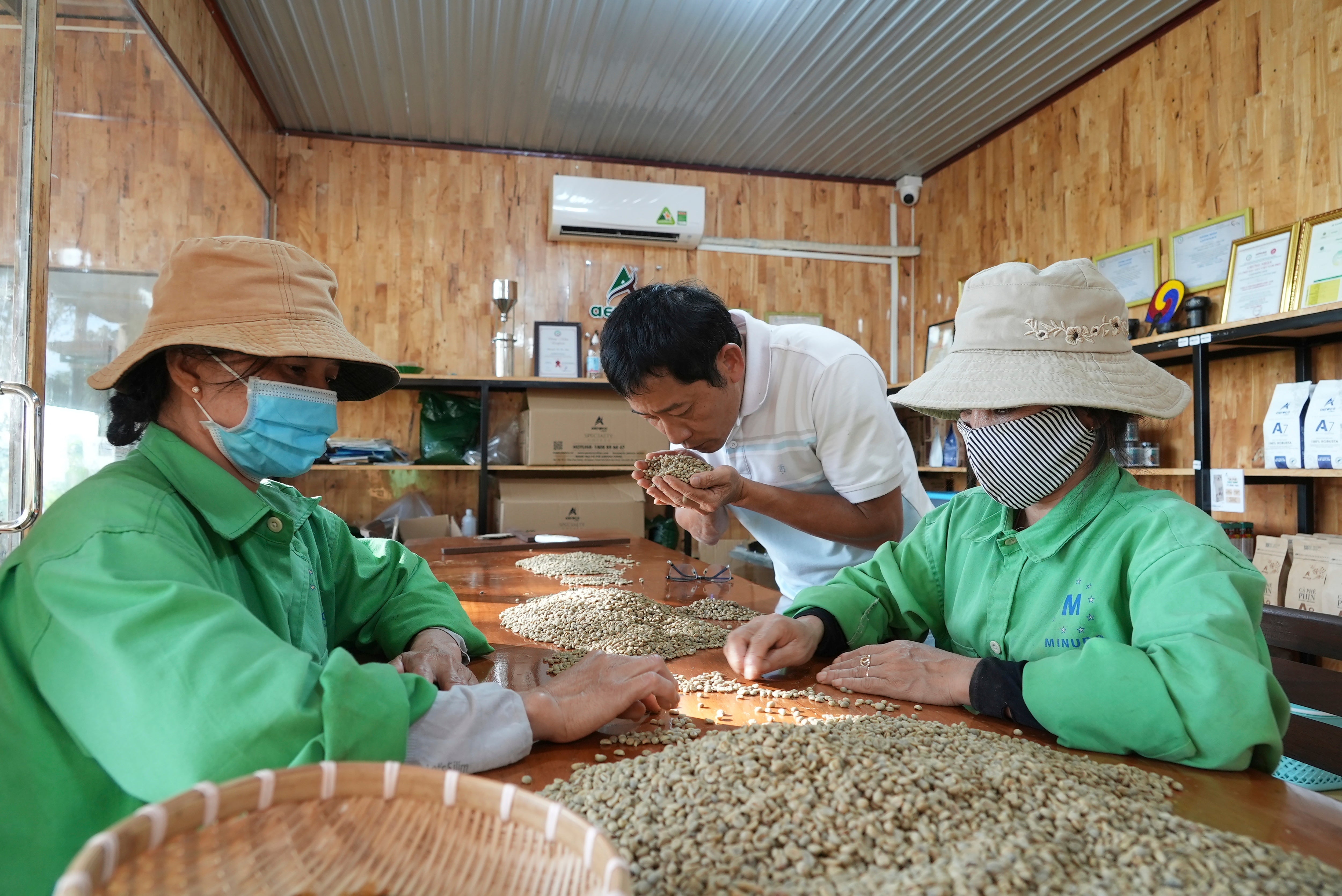 Workers sort and grade coffee beans at a coffee factory in Dak Lak province, Vietnam