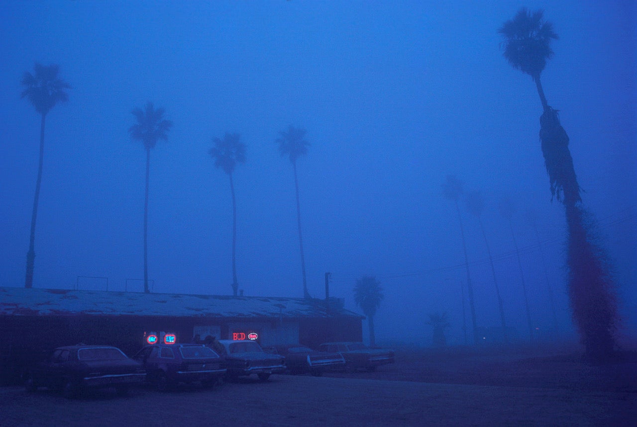 A place among the palms in Oceanside, California, 1978