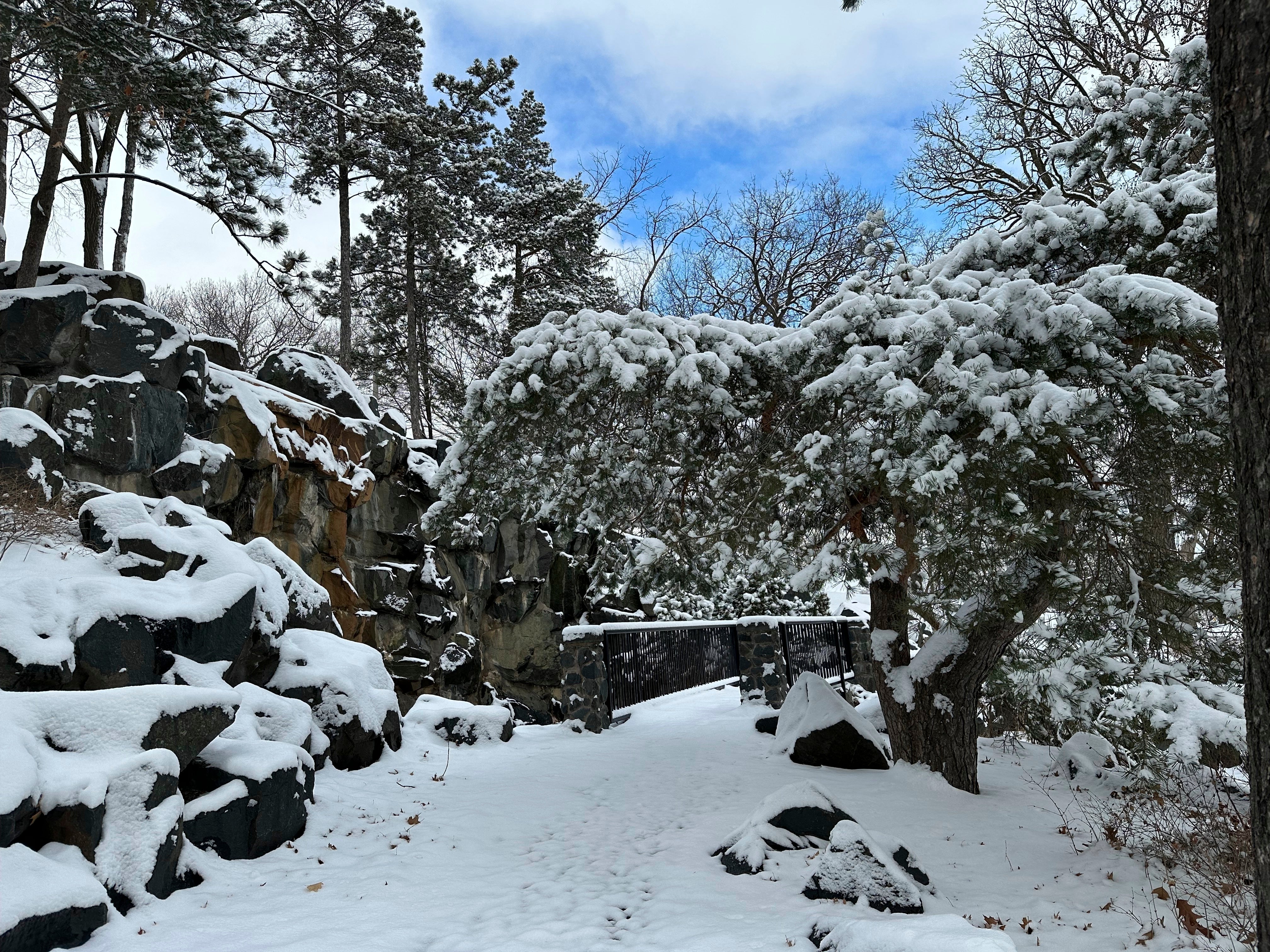 Snow clings to the trees along a walking path at Como Lake in St. Paul, Minn., on Friday