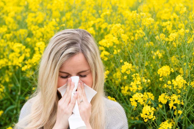 Spring and early summer is the worst time for hay fever sufferers (Alamy/PA)