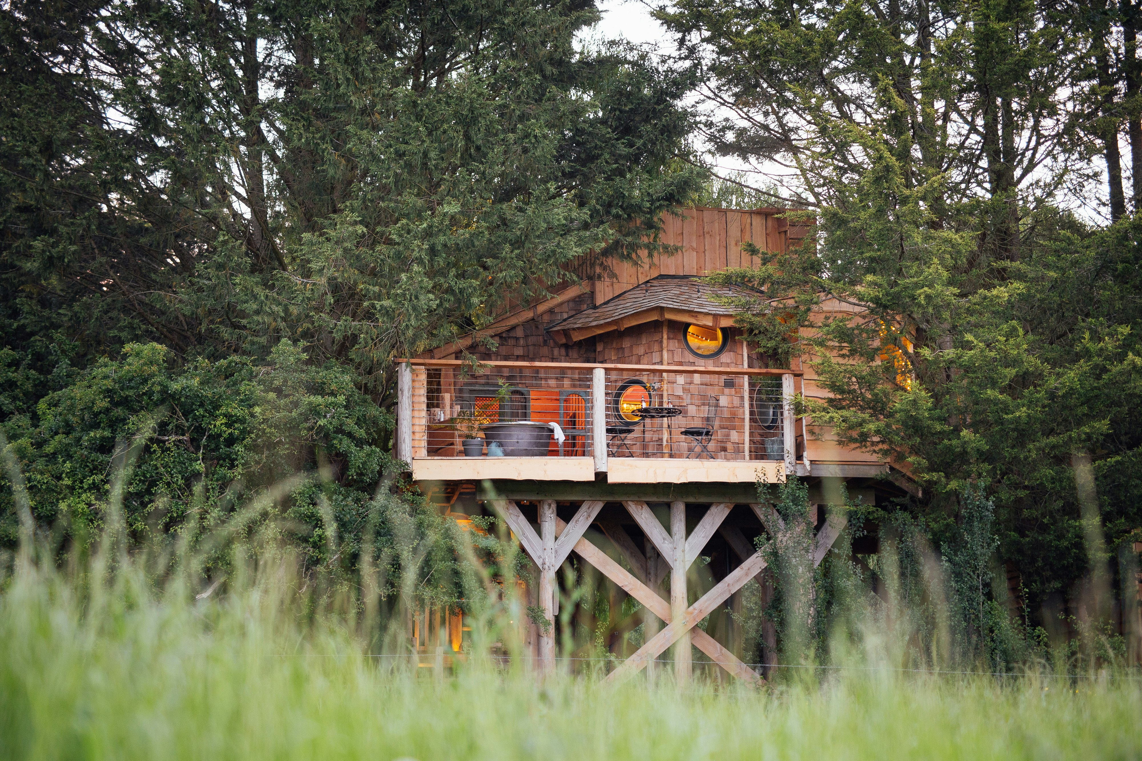 Tuck into an intimate treetop in rural Somerset