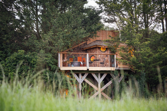 <p>Tuck into an intimate treetop in rural Somerset </p>