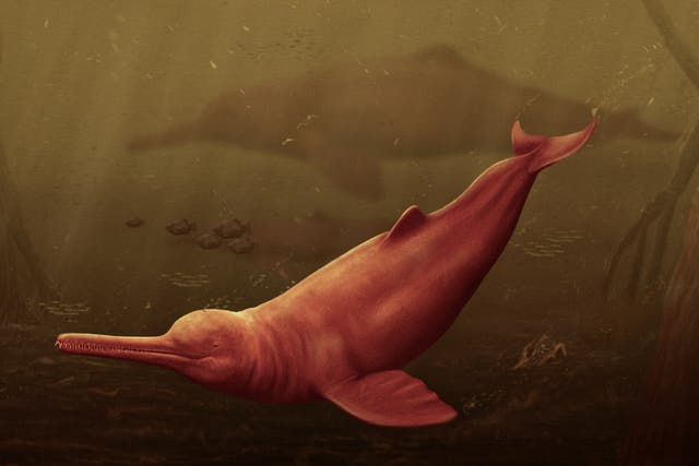 <p>An artistic reconstruction of what the Pebanista yacuruna would have looked like swimming in the murky waters </p>