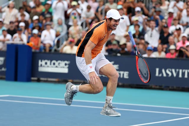<p>Andy Murray shouts in pain after twisting his left ankle </p>