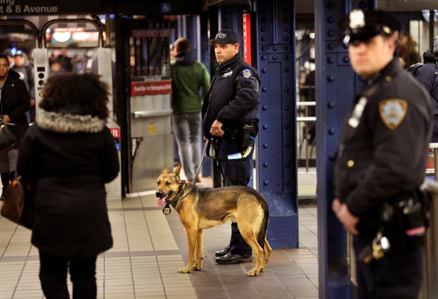 NYC Subway Policing