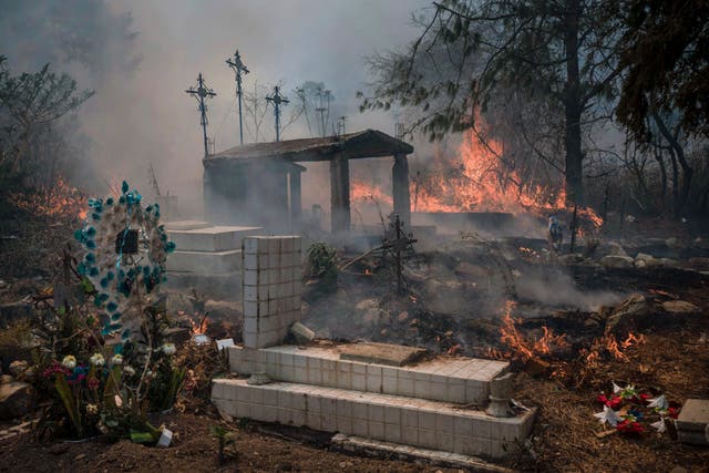APTOPIX Mexico Fires