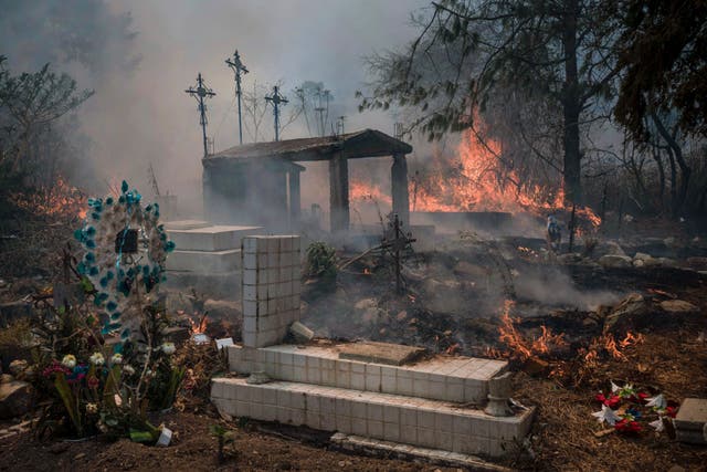 MÉXICO-INCENDIOS FORESTALES