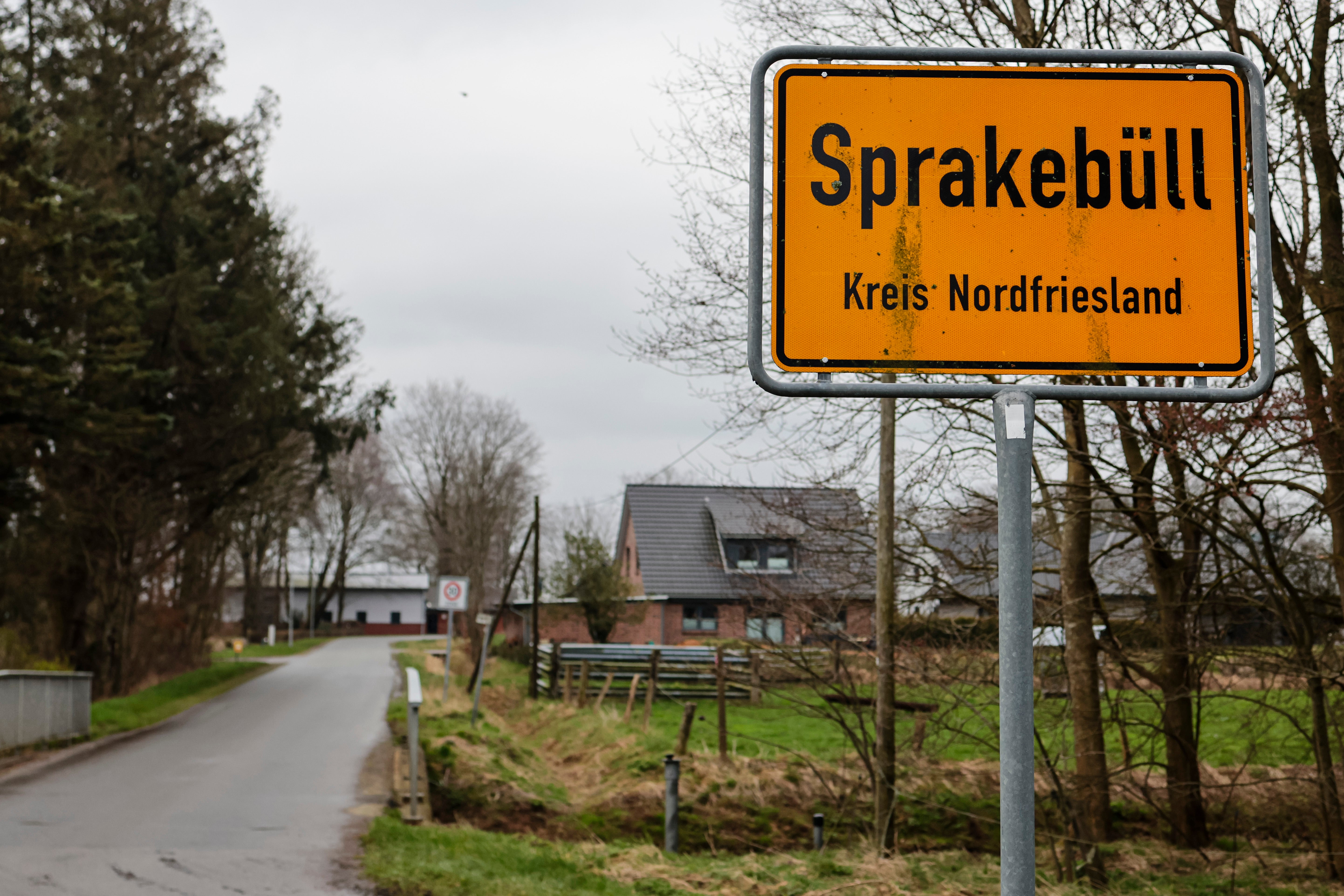 Renewable Energy Challenges and Promise