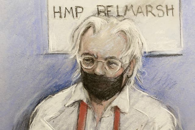 <p>Court artist sketch by Elizabeth Cook of Julian Assange appearing by video link at the High Court in London in 2021 (Elizabeth Cook/PA)</p>