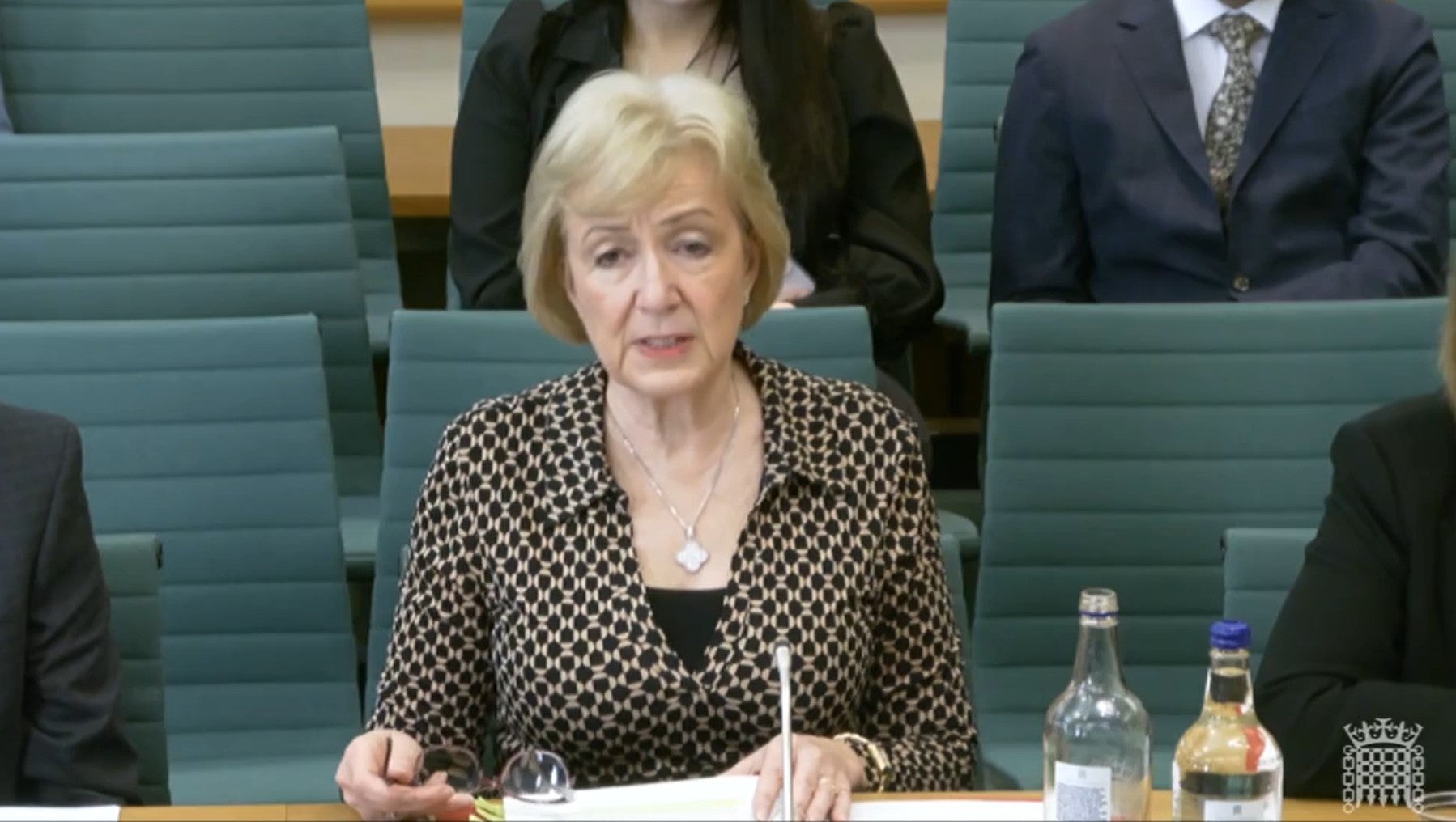 Health minister Dame Andrea Leadsom appearing before the Health and Social Care Committee