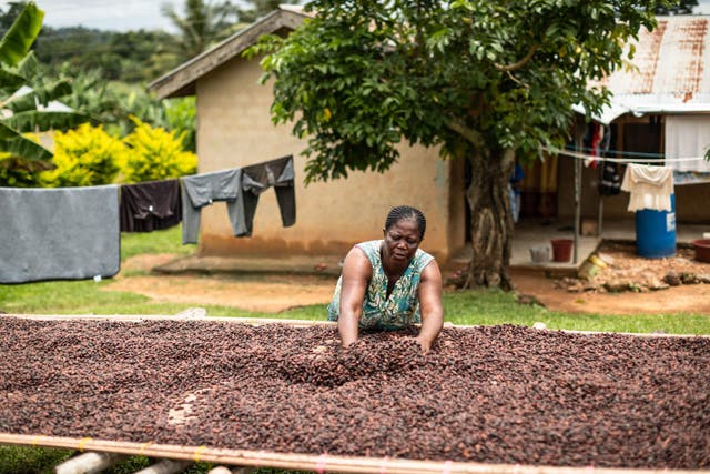 Climate change has affected cocoa bean growers (Chris Terry/PA)