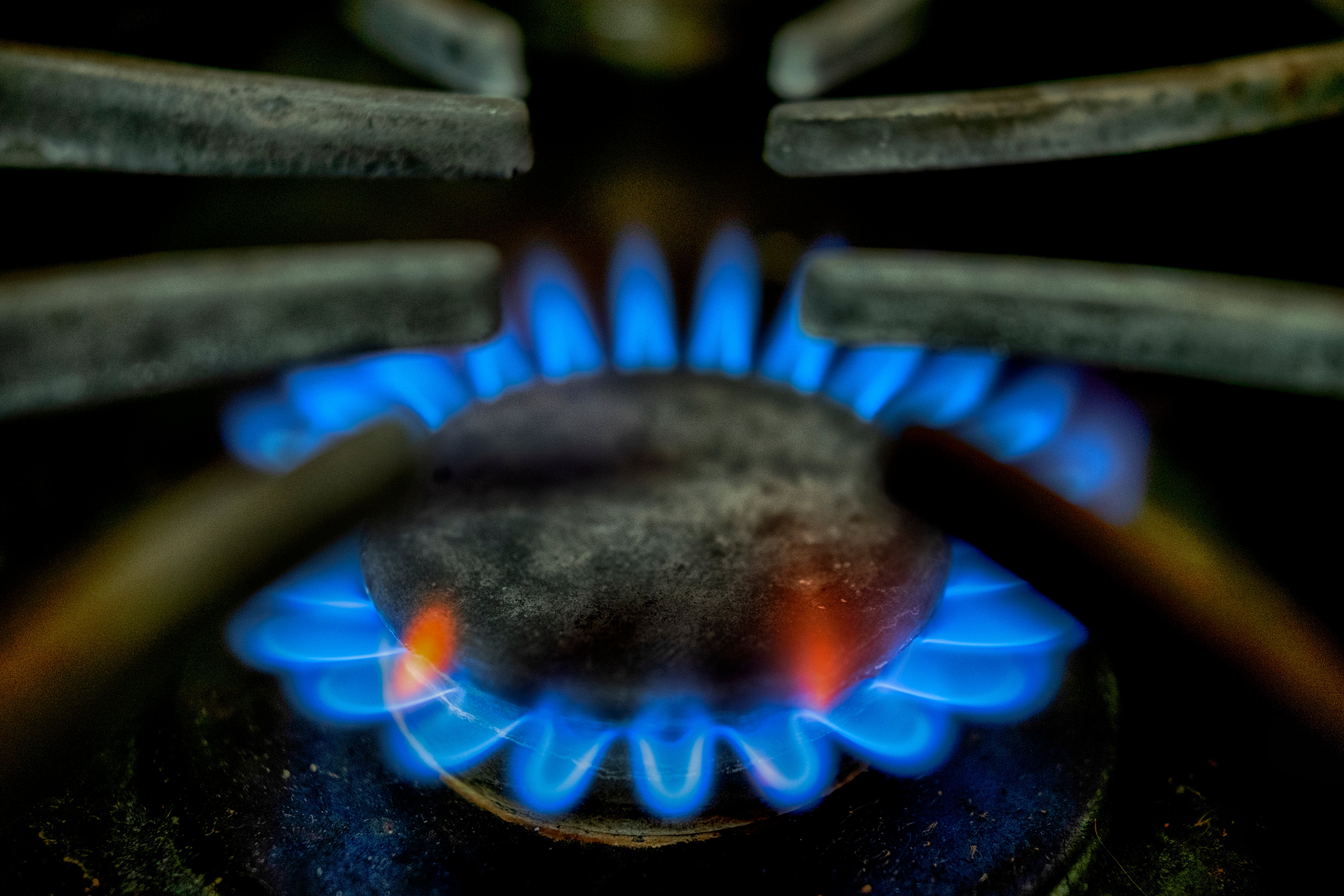 Berkeley Natural Gas Ban