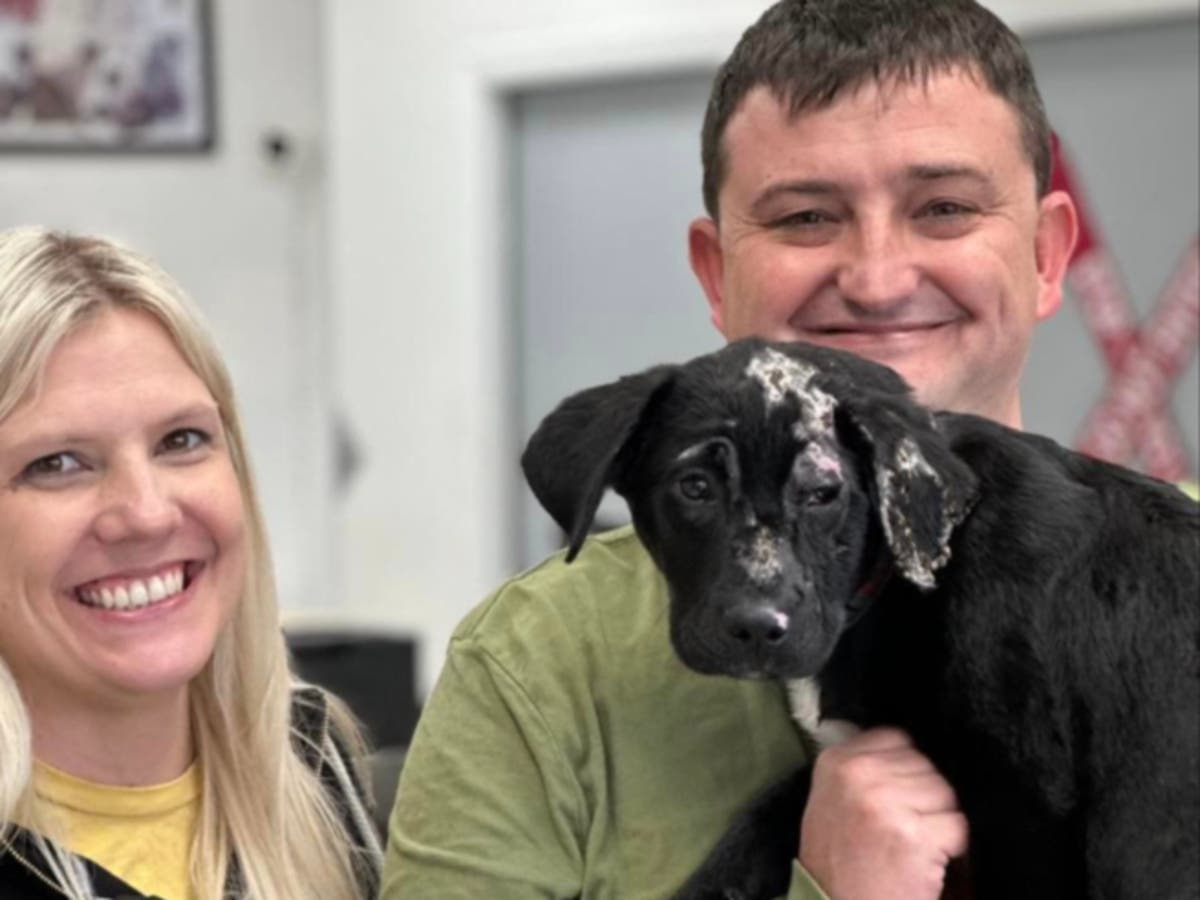Firefighter adopts puppy who survived house fire | The Independent