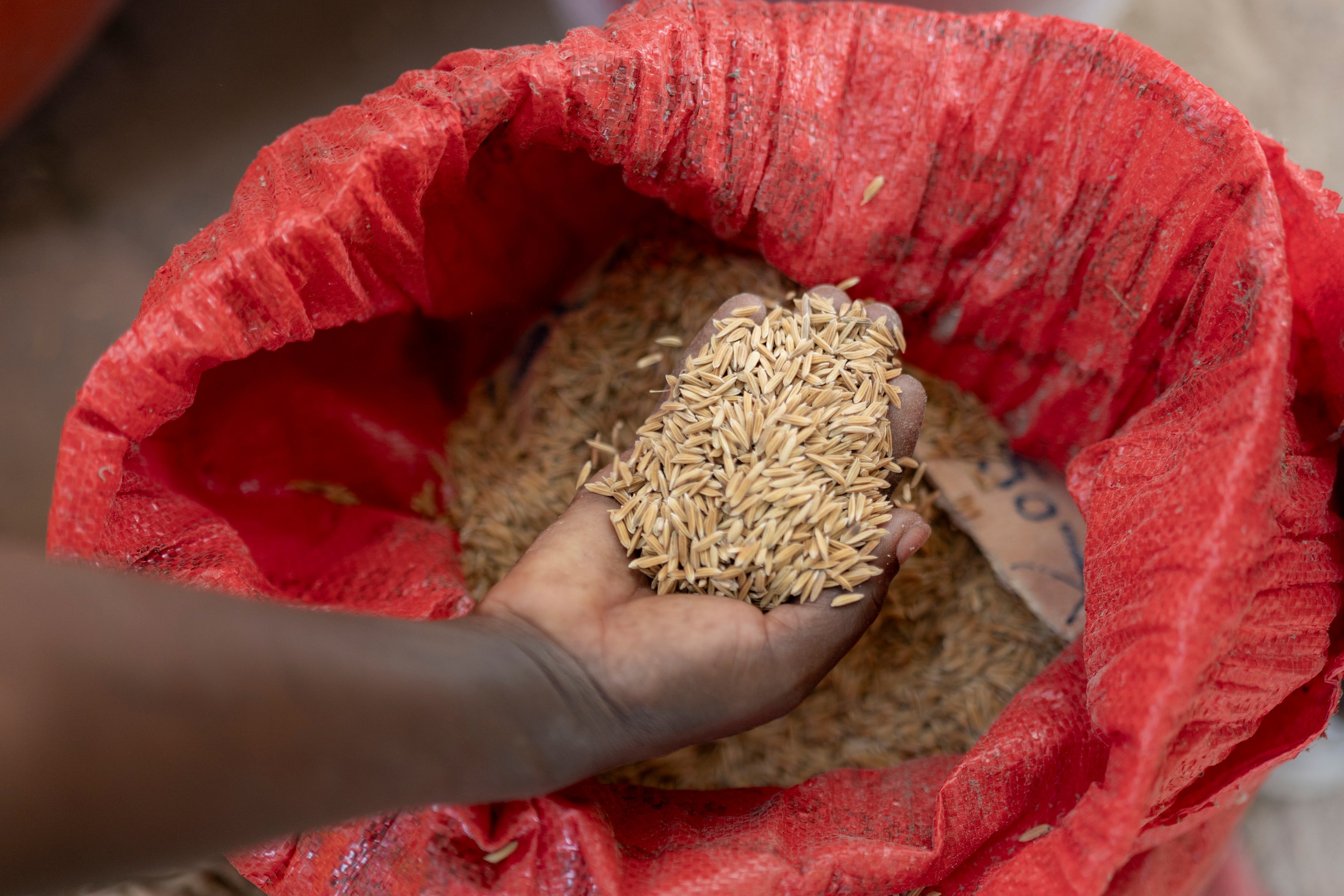 Senegal Female Farmers