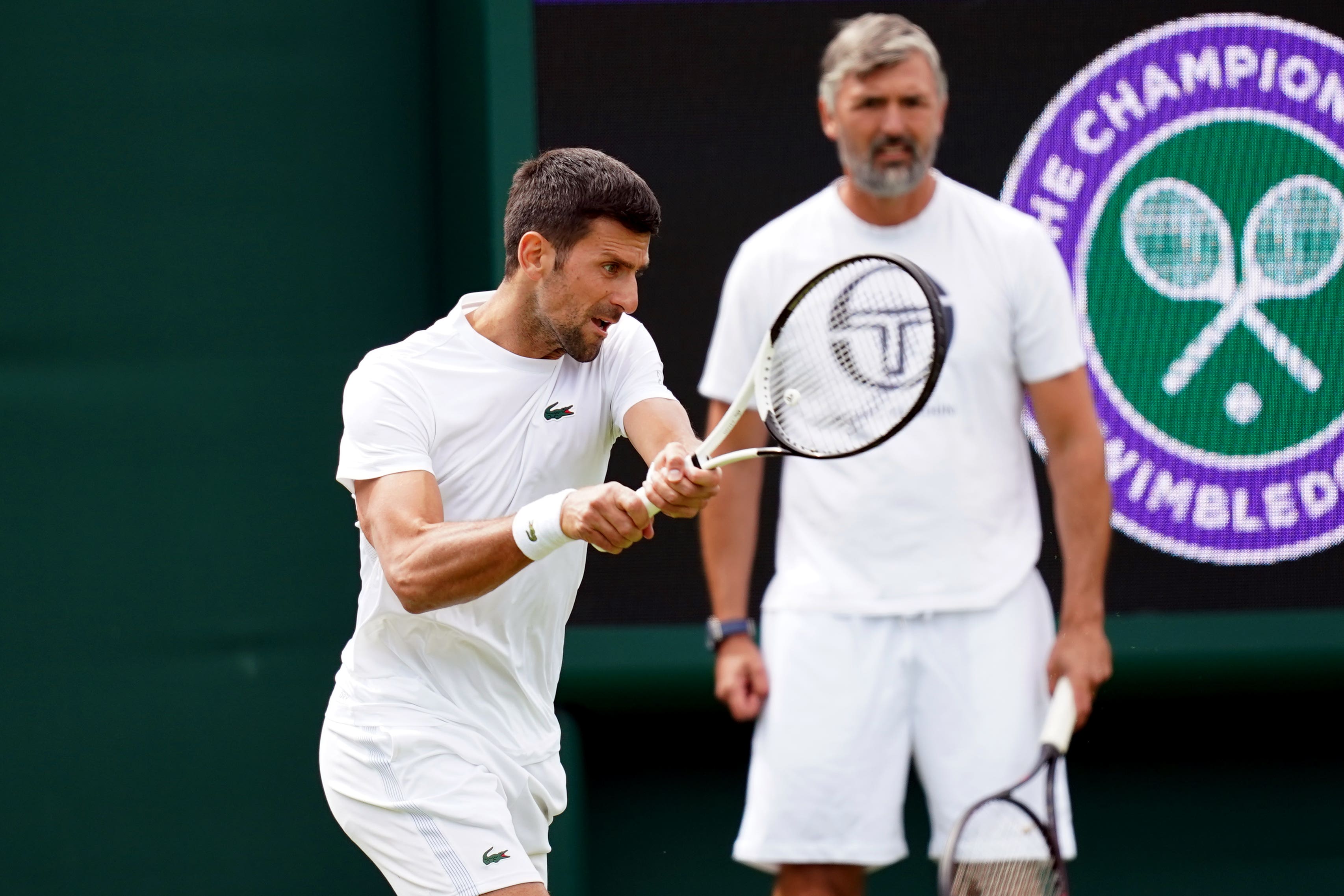 <p>Novak Djokovic and Goran Ivanisevic had worked together for a few years </p>
