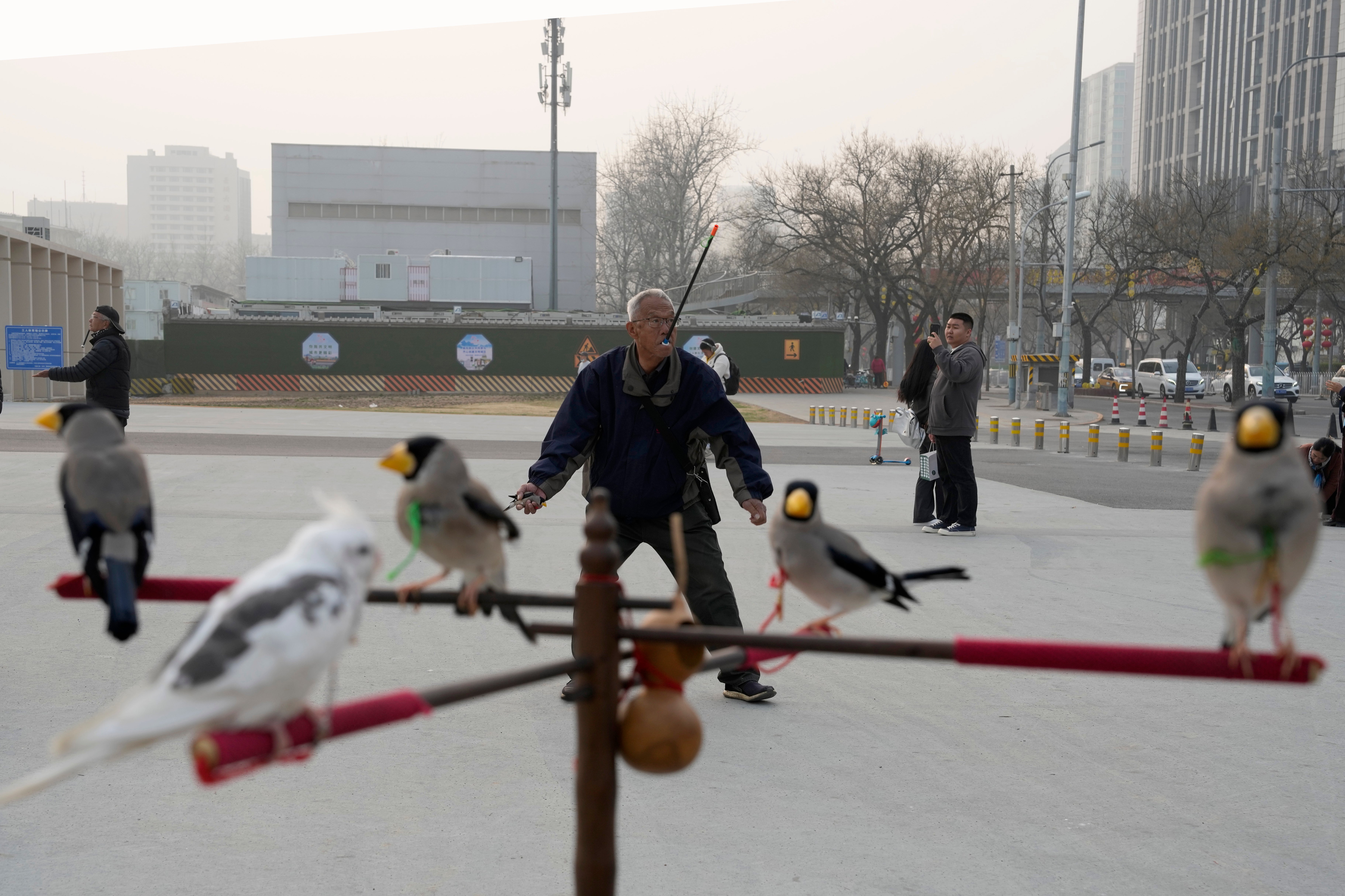 China Bird Man Photo Gallery