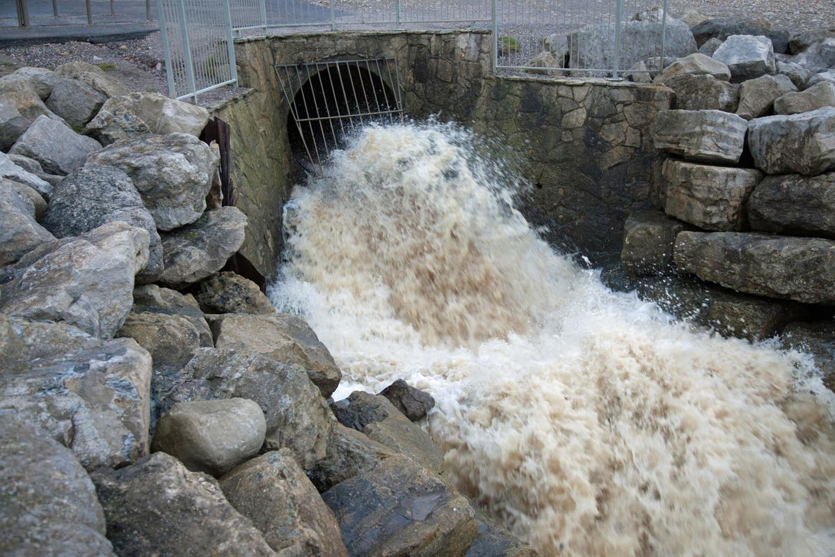 Sewage spills from storm overflows in 2023, by water company