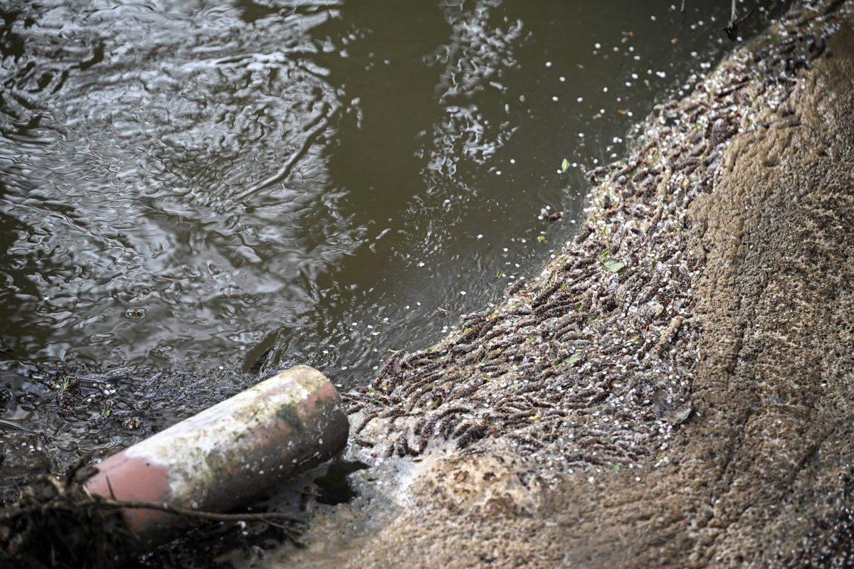 Water pollution across UK surged by nearly a third and highest in decade