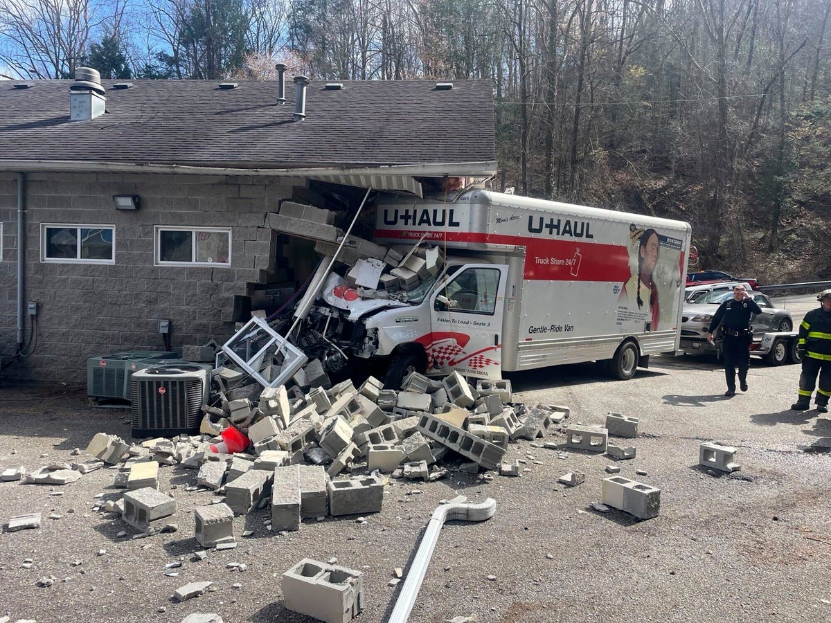 West Virginia animal shelter pleads for help fostering dogs after truck crashes into building