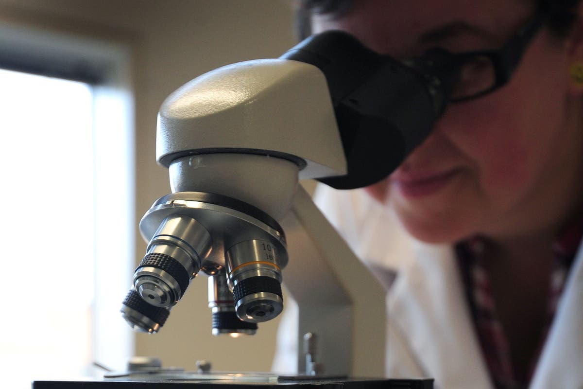 &lsquo;Game-changer&rsquo; test spots signs of motor neurone disease before symptoms &ndash; study