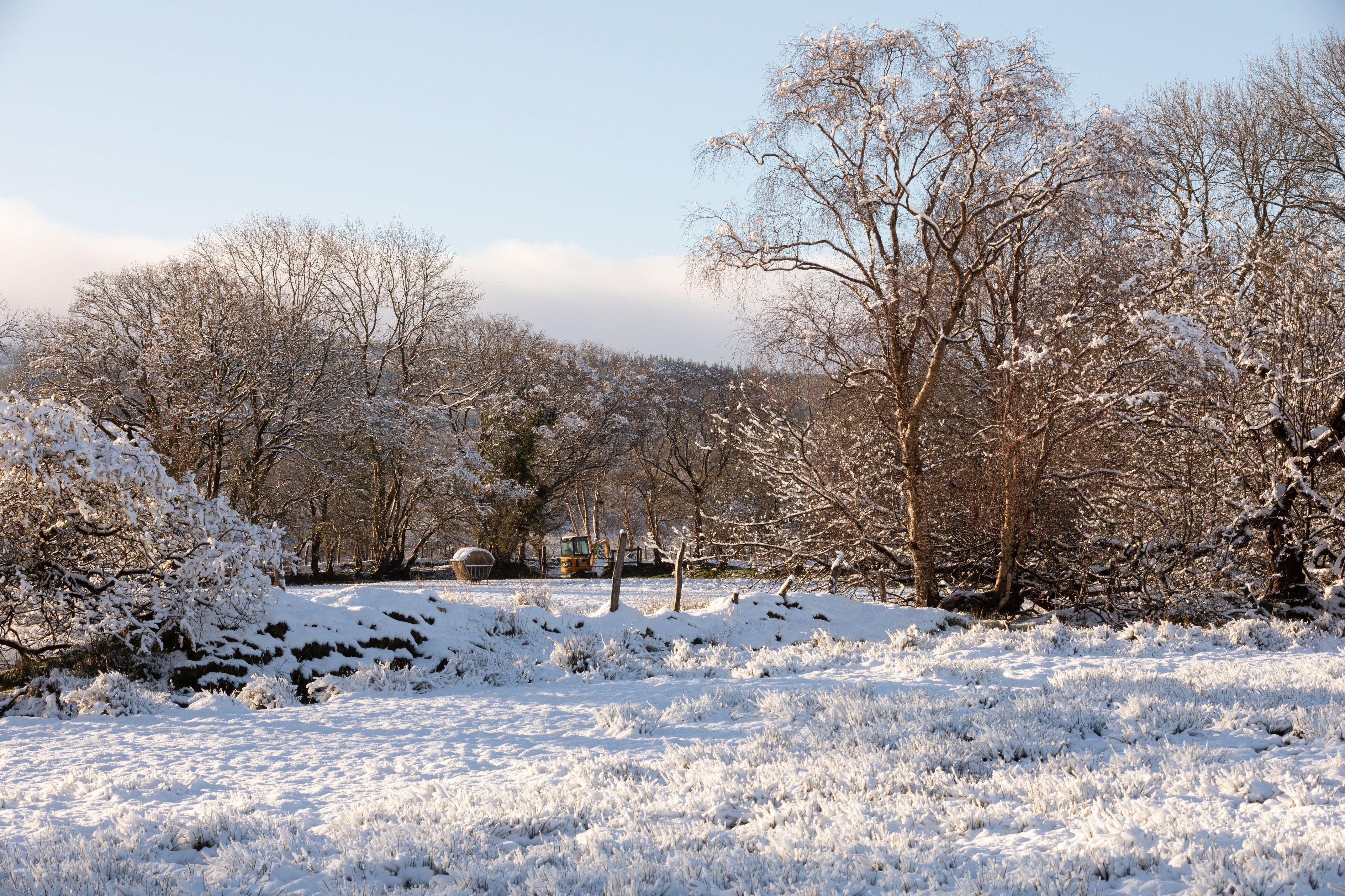 Residents awake to snowy landscapes this morning, after overnight snowfall in the rural village of Pontrhydfendigaid in mid Wales