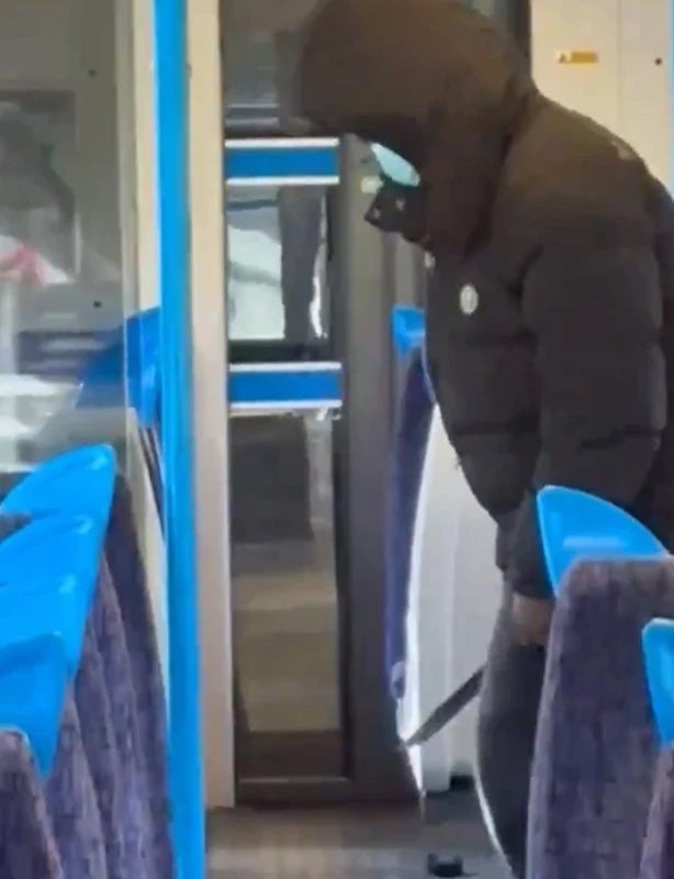 Police are searching for the knifeman after the attack on a train in south-east London