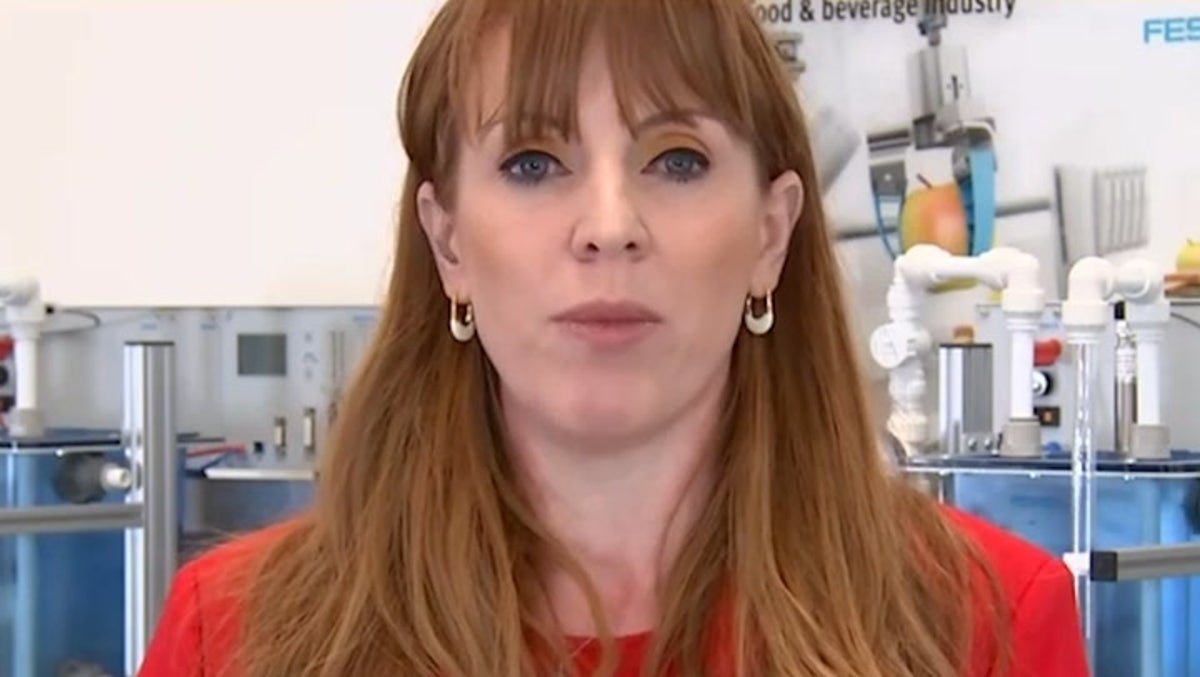 Angela Rayner challenges Tory critics over her tax affairs: ‘If you show me yours, I’ll show you mine’