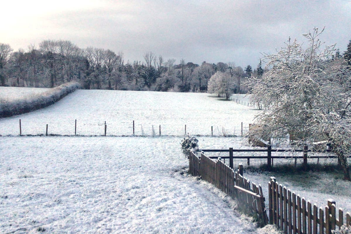 Snow falls in south-west England and Wales ahead of wet and windy ...