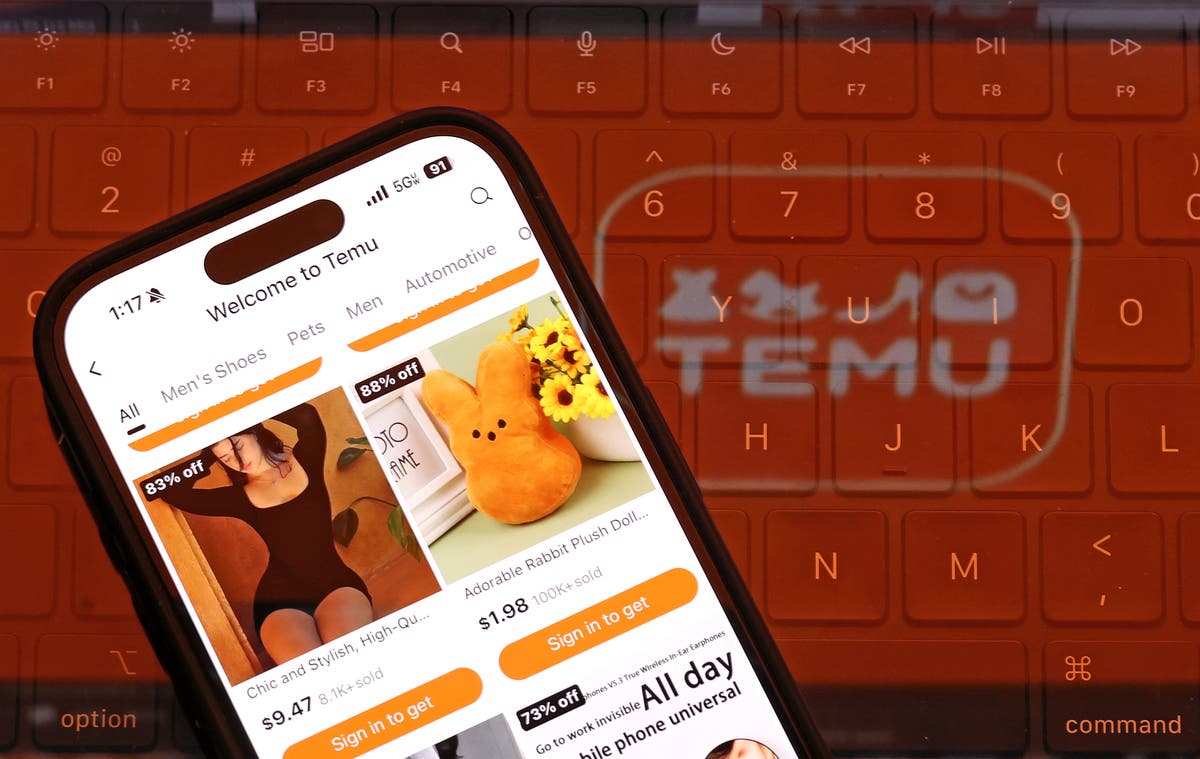 Temu changes T&Cs on free cash giveaway after data protection concerns 