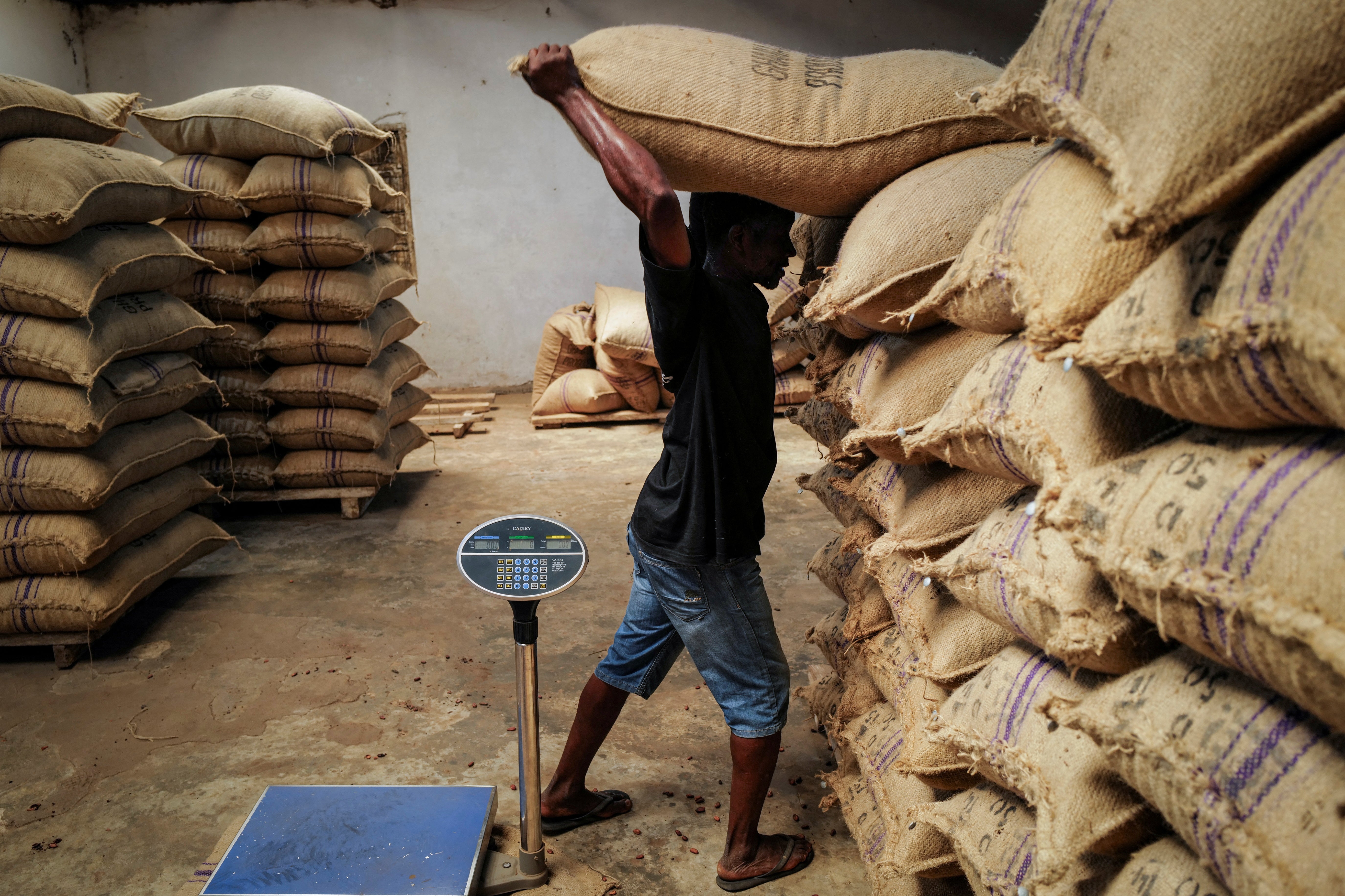 A worker transports a bag of sun-dried cocoa beans at a warehouse in Kwabeng