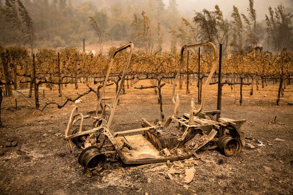 The remains of a golf cart burned by the Glass Fire sits next to a vineyard at Calistoga Ranch in Calistoga, Napa Valley, California on September 30, 2020
