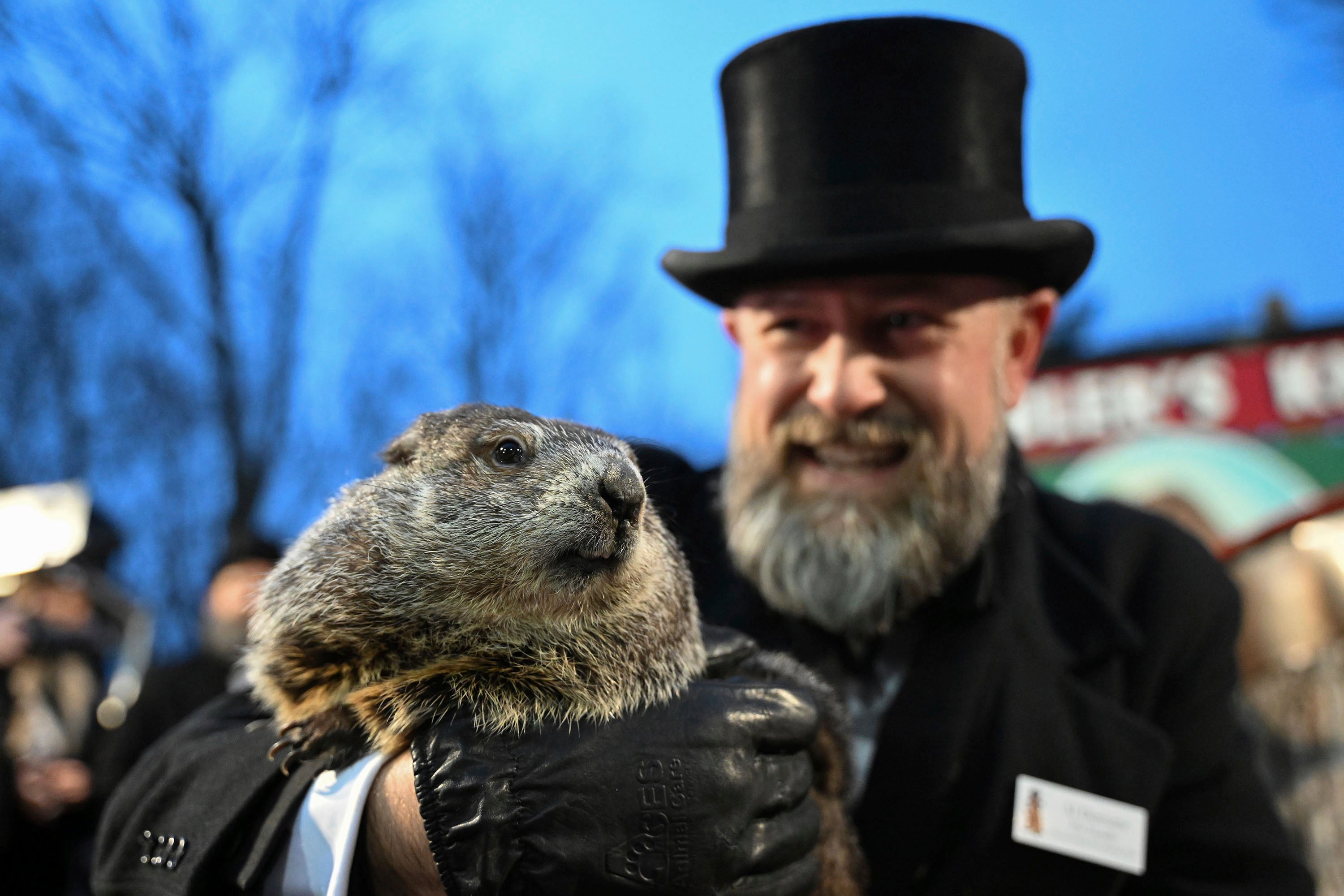 Punxsutawney Phil-Groundhog Babies