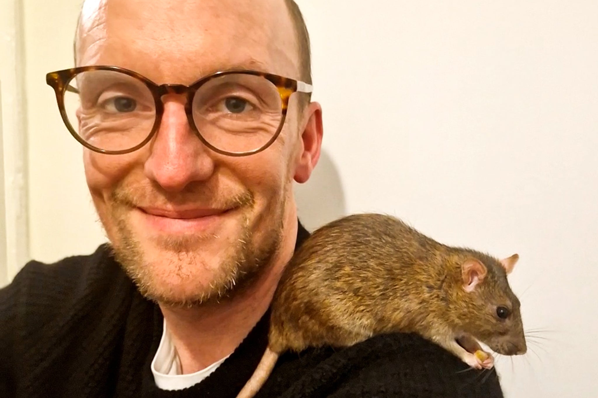 Looking for an award-winning pet? Maybe it’s time to consider a rat ...