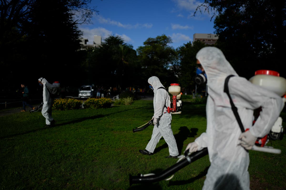 Dengue is sweeping through the Americas early this year