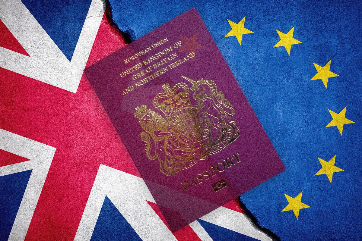 Let British students back into free movement scheme, EU committee says