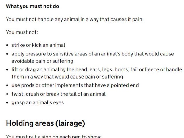 Government regulations on handling animals in slaughterhouses