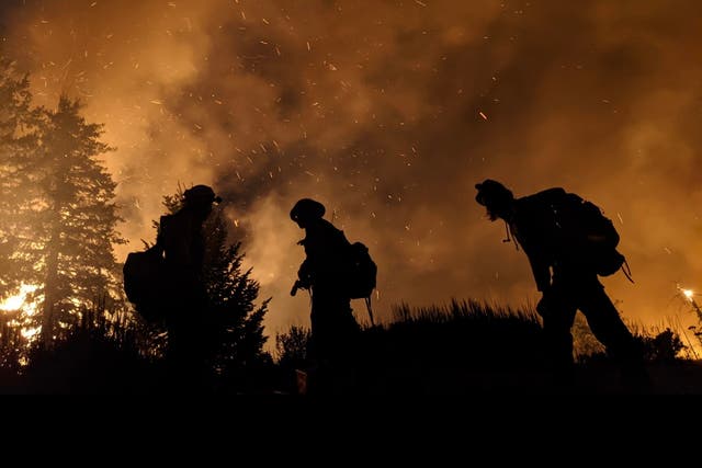 <p>A crew of wildland firefighters tackle a blaze in northern Washington state in 2021. The federal workforce is in crisis due to unliveable wages and poor conditions </p>