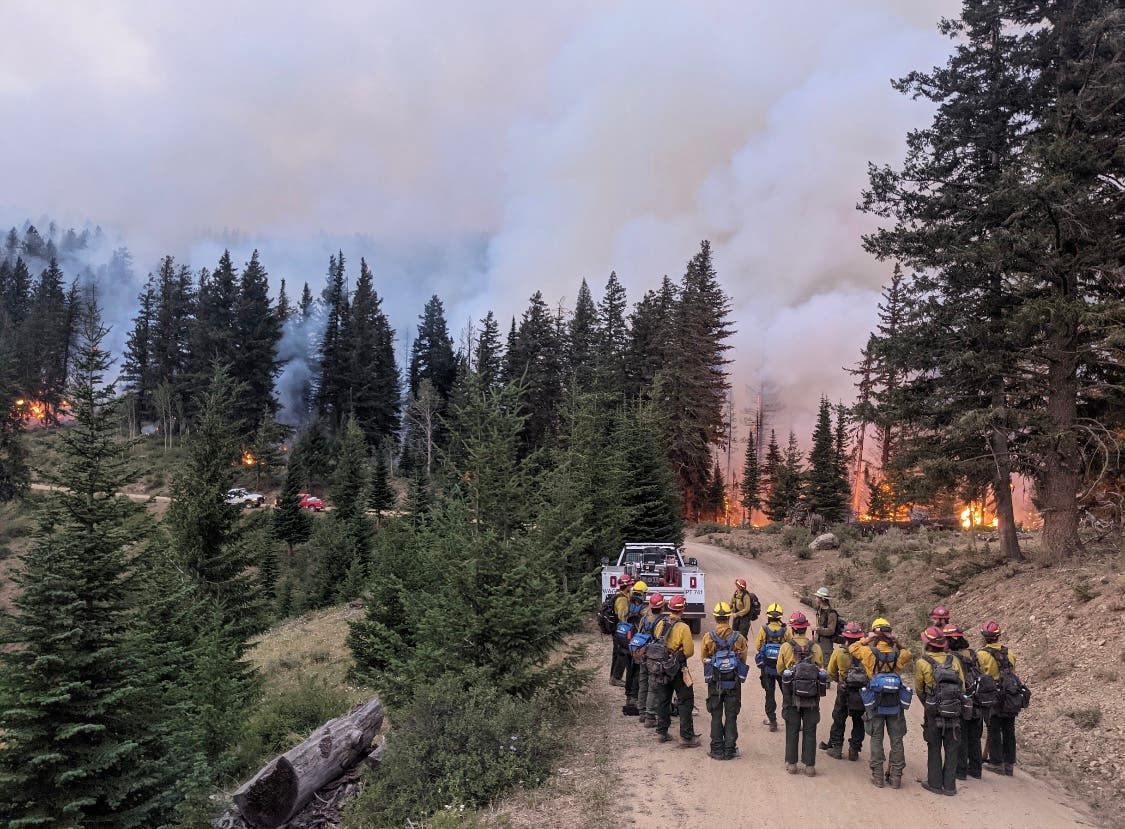 US firefighting faces mass resignations as Congress stalls - Vimarsana News