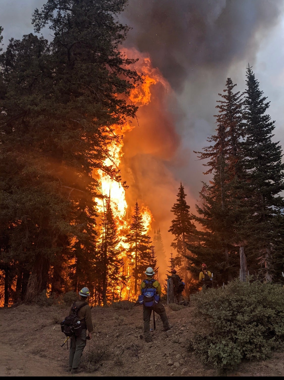 A wildland firefighting crew assess a fire in Washington state in 2021
