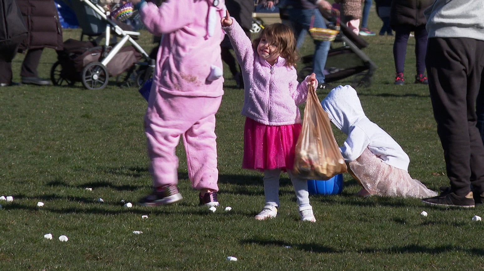 Great Marshmallow Drop