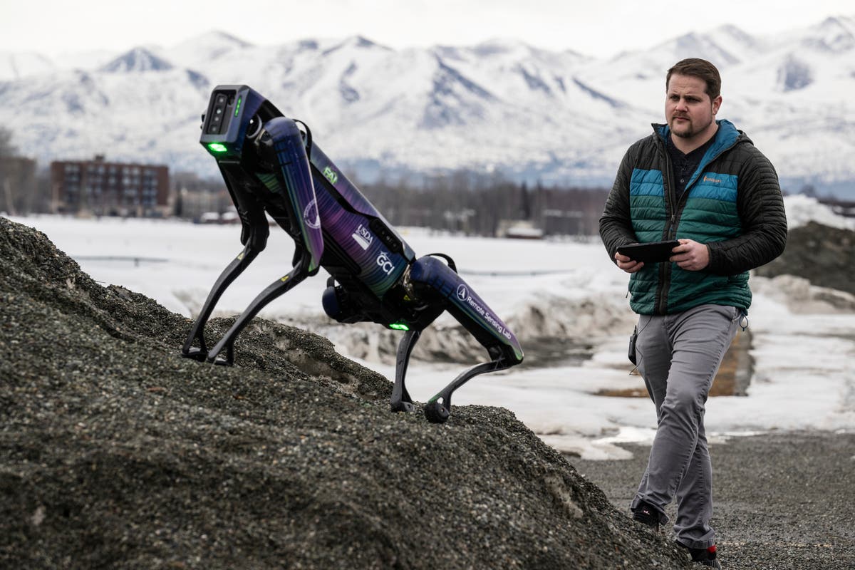 Headless robot to scare wildlife away from runways at airport