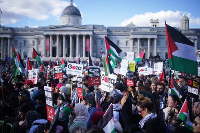 Thousands joined the demonstration in central London (Victoria Jones/PA)