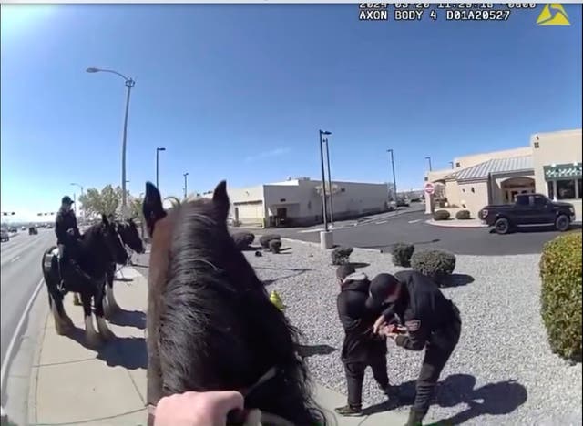 Horse Police Pursuit-New Mexico