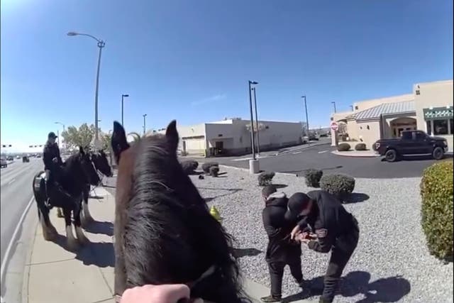 Horse Police Pursuit-New Mexico